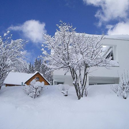 Apartment Willmann By Interhome Eisenbach  Esterno foto
